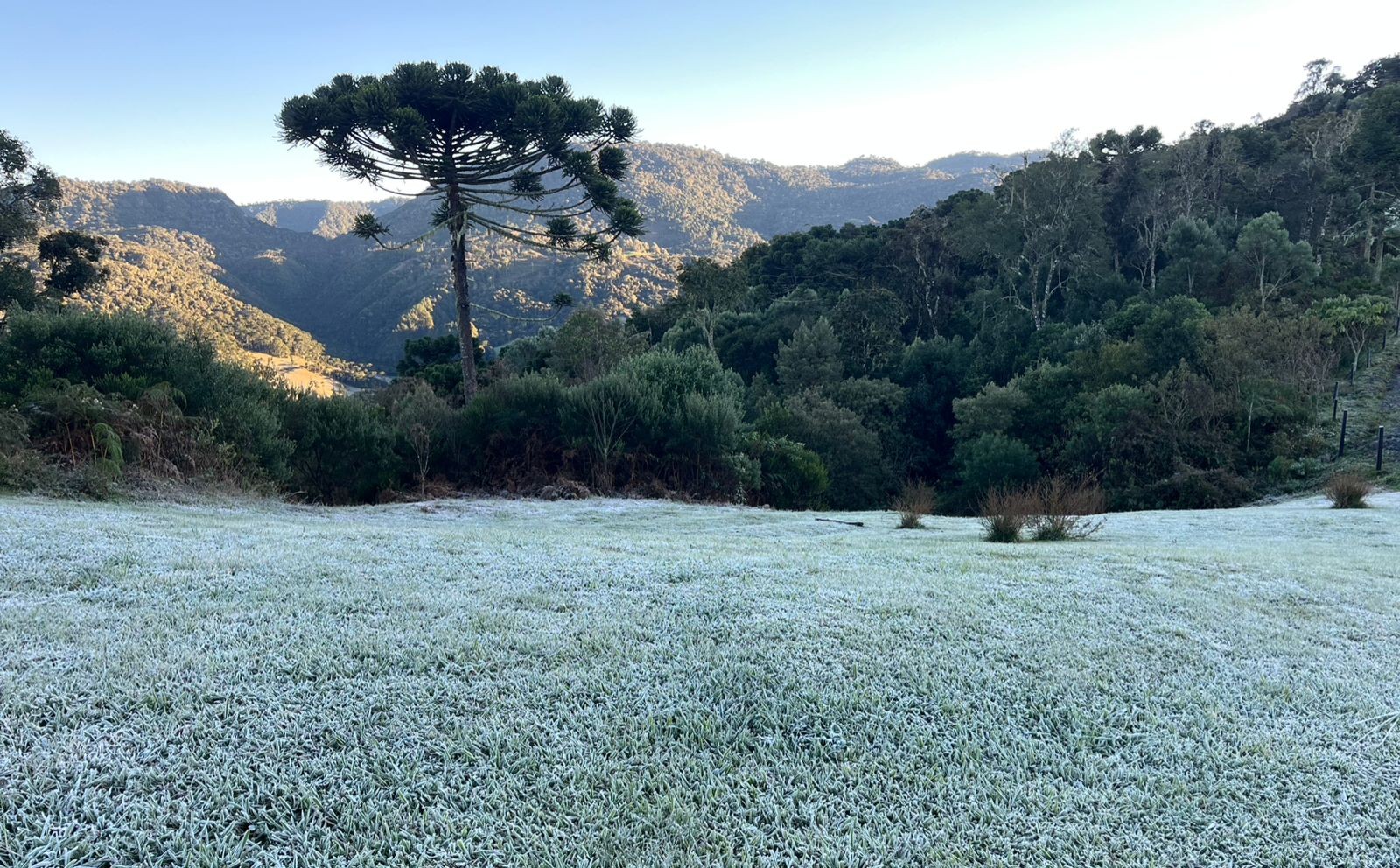 Capital nacional do frio abre inscrições para concurso com salários de até R$ 20 mil em SC; veja áreas