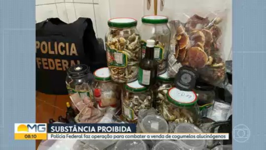 Polícia Federal faz operação em BH para combater venda de cogumelos alucinógenos pela internet - Programa: Bom Dia Minas 