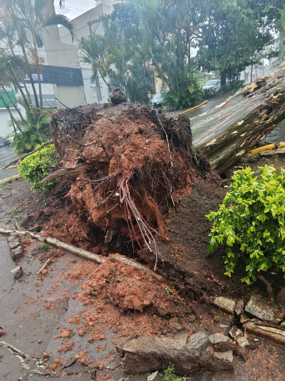 Estragos da chuva em Pará de Minas — Foto: Reprodução de redes sociais