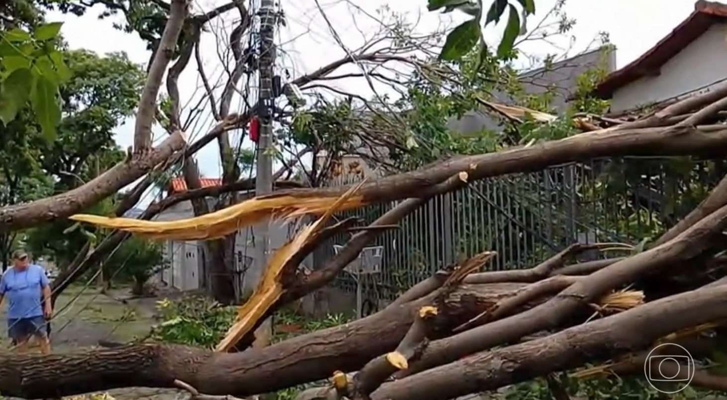 Chuva forte em Belo Horizonte provoca alagamentos, quedas de árvores e falta de energia 