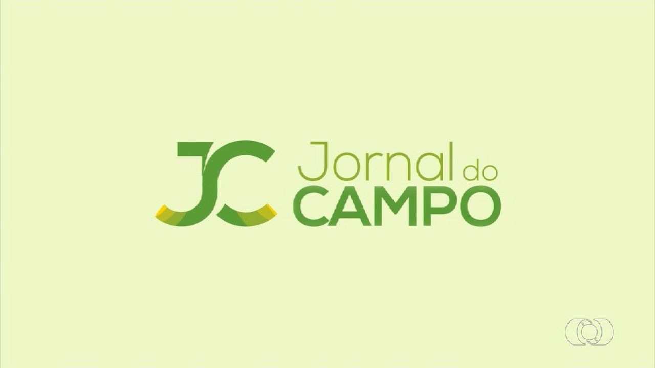 VÍDEOS: Jornal do Campo TO de domingo, 9 de junho de 2024