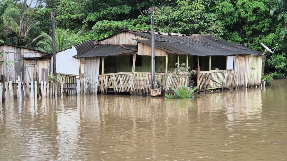 Cheia do rio Jaru — Foto: Pedro Nascimento/Rede Amazônica