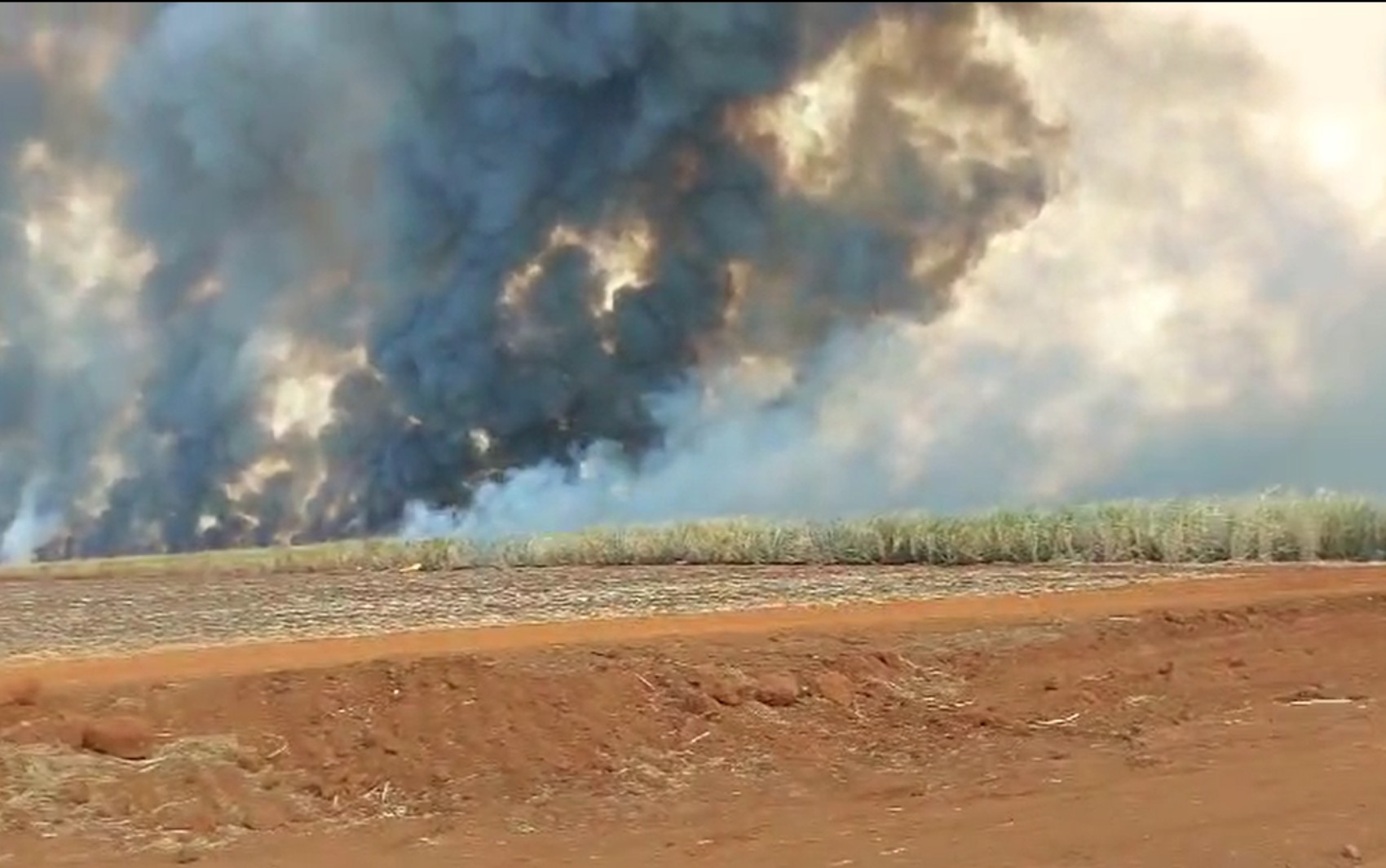 Incêndios voltam a atingir cidades do interior de São Paulo; VÍDEO