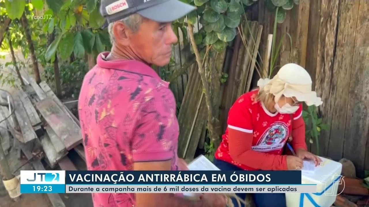 Vacinação antirrábica para cães e gatos começa em Óbidos com visitas domiciliares na zona urbana