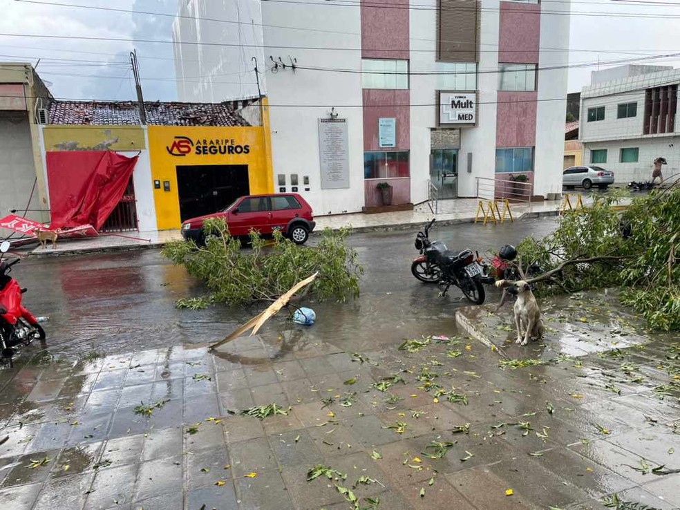 Chuva causa estragos em Ouricuri — Foto: Reprodução