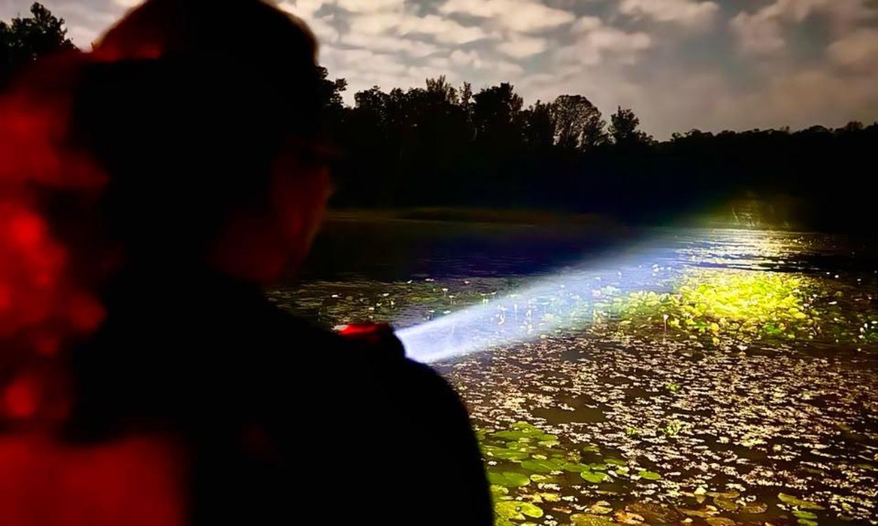 Férias: parques de SP têm trilhas, observação de aves, cavernas e atividades gratuitas