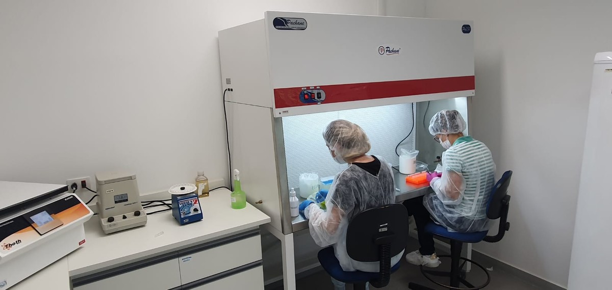 DNA ambiental: conheça tecnologia que auxilia na conservação do pato-mergulhão | Terra da Gente