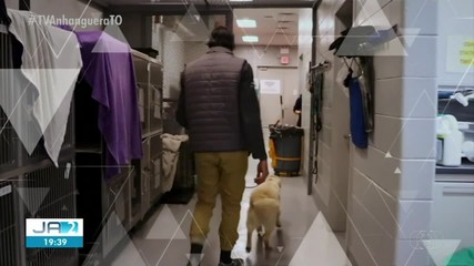 Confira os destaques do Fantástico deste domingo (28)