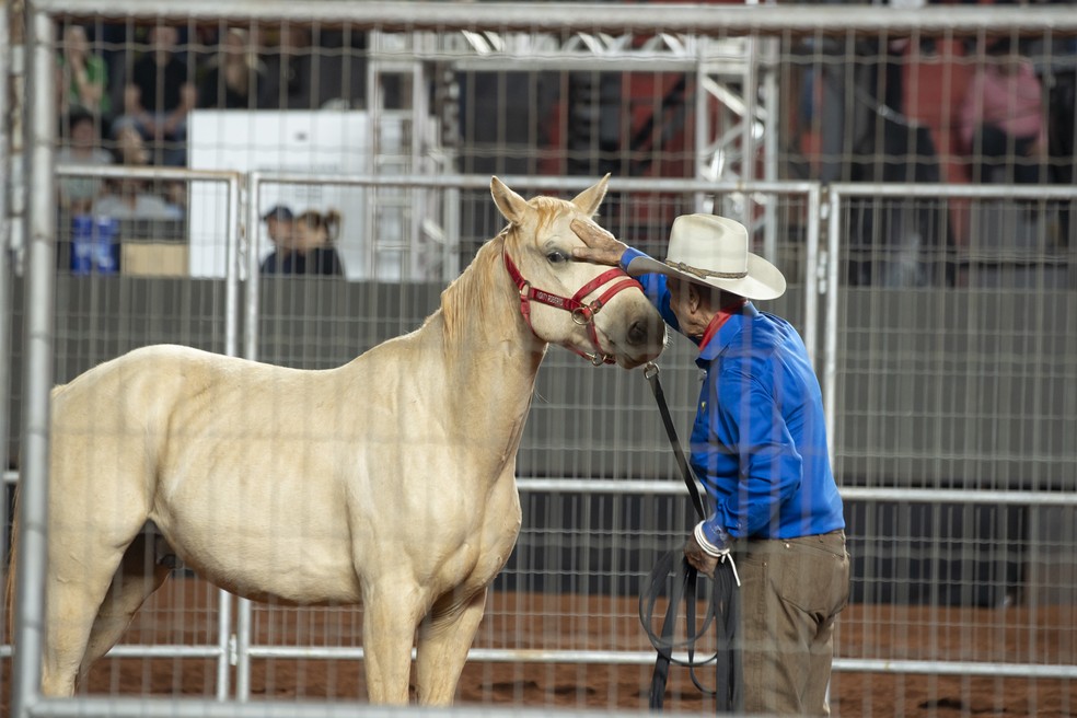 Encantador de cavalos, Monty Roberts leva uma hora para domar cavalo  selvagem em plena arena de Barretos, Festa do Peão de Barretos 2023