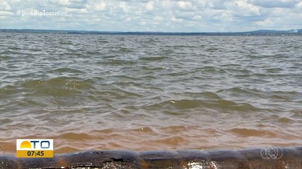 Saiba como evirar acidentes com arraias durante a temporada de praias