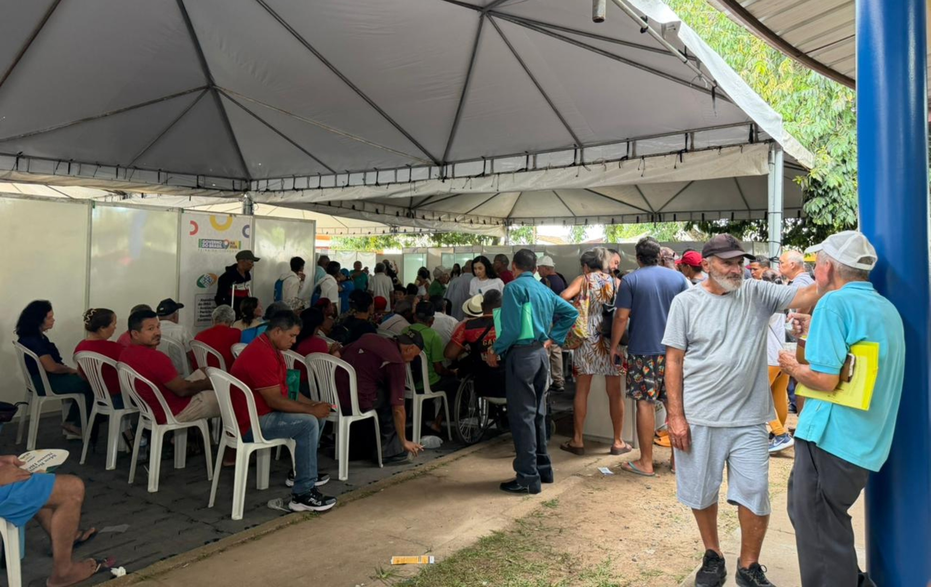 Programa do governo federal oferece emissão de carteira de identidade e microchipagem de cães e gatos em Boa Vista