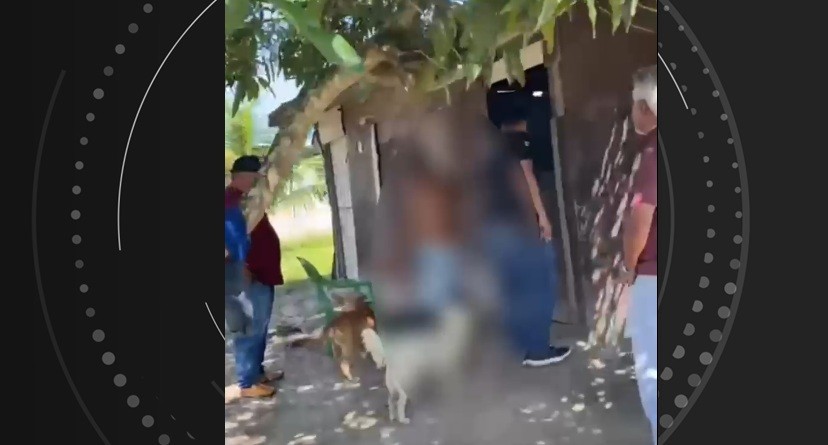 Homem grava vídeo praticando sexo com cadelas e é preso por zoofilia no interior de Alagoas