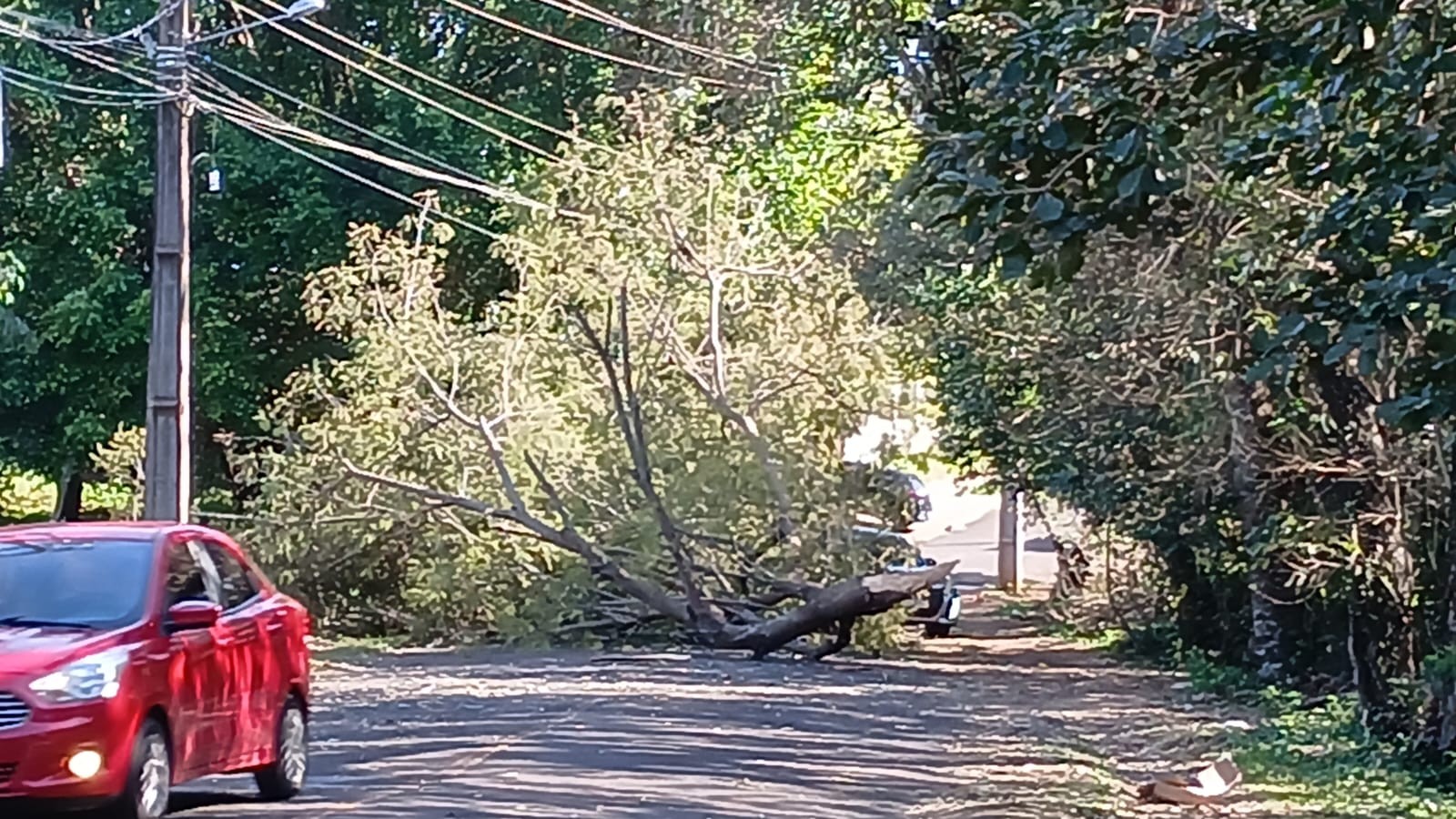 Ventos superam 70 km/h no Paraná, Inmet mantém alerta para vendavais