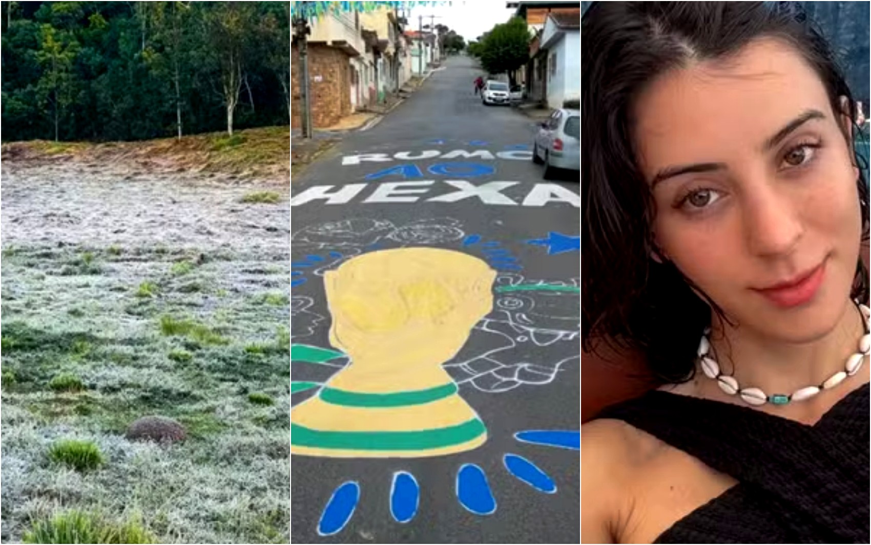 Geada intensa, rua decorada da Copa e caso de agressão de influencer: veja as mais lidas da semana no g1 Sul de Minas