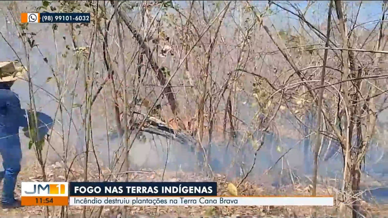 Focos de incêndio atingem Terras Indígenas no Maranhão; fogo afeta animais e plantações