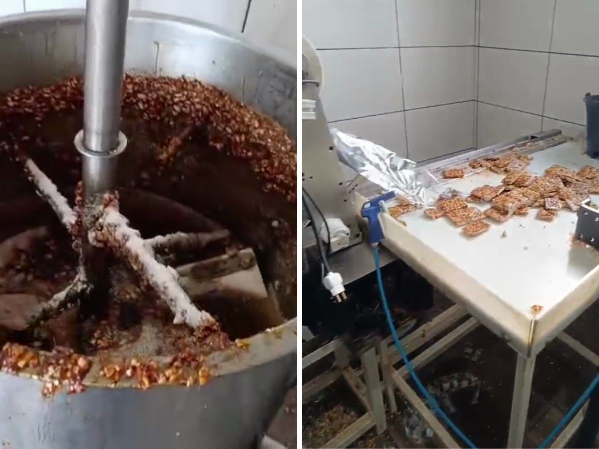 Fábrica clandestina de doces é autuada em Campinas: 'sem condições de higiene', diz delegado