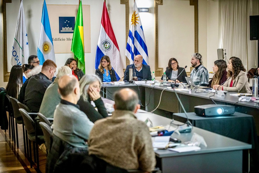 Evento reuniu representantes da Argentina, do Brasil, do Chile, do Peru e do Uruguai — Foto: Red Mercociudades/Flickr