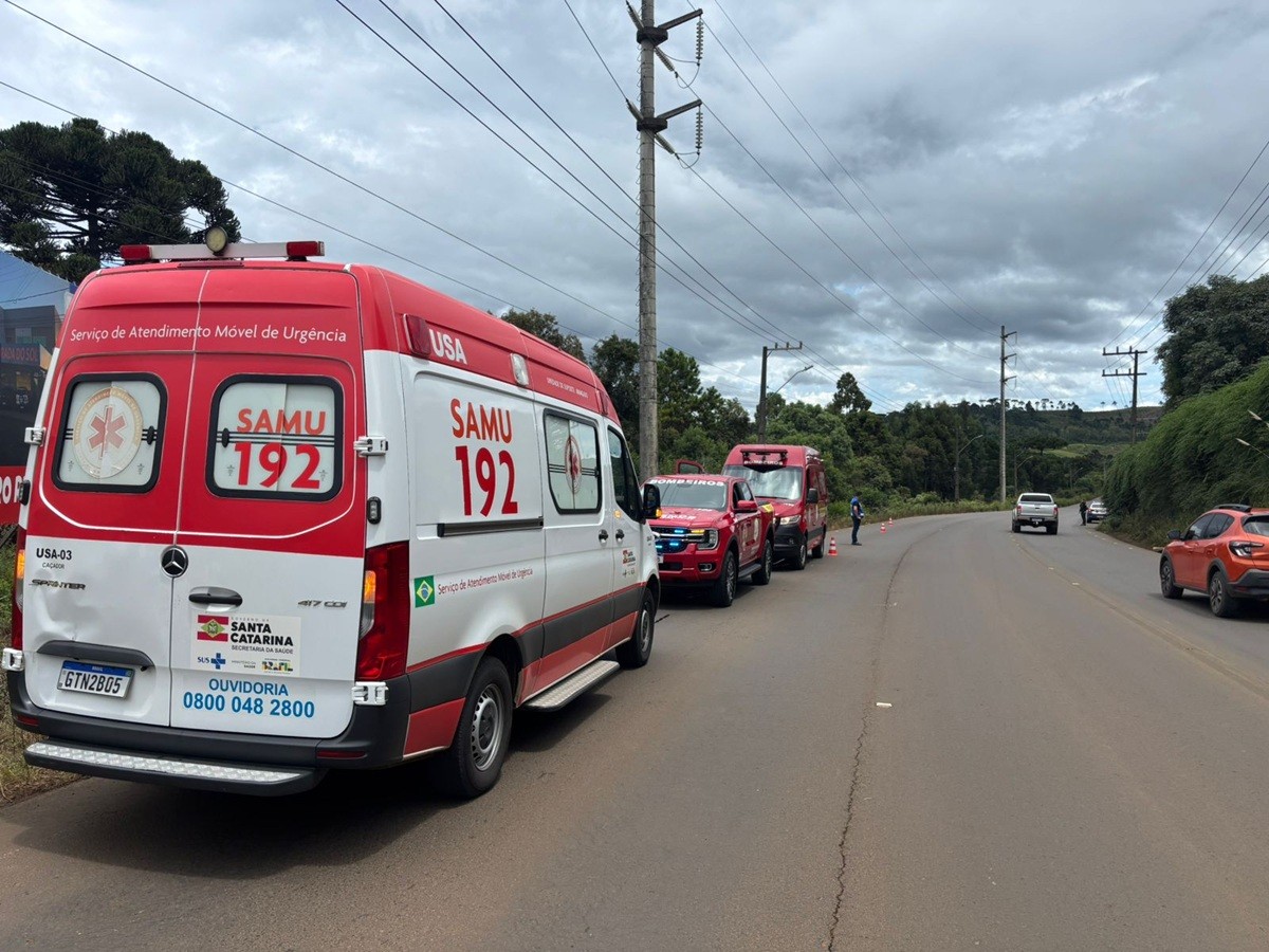 Homem leva mais de 100 picadas de abelhas e é socorrido às pressas em SC, dizem bombeiros