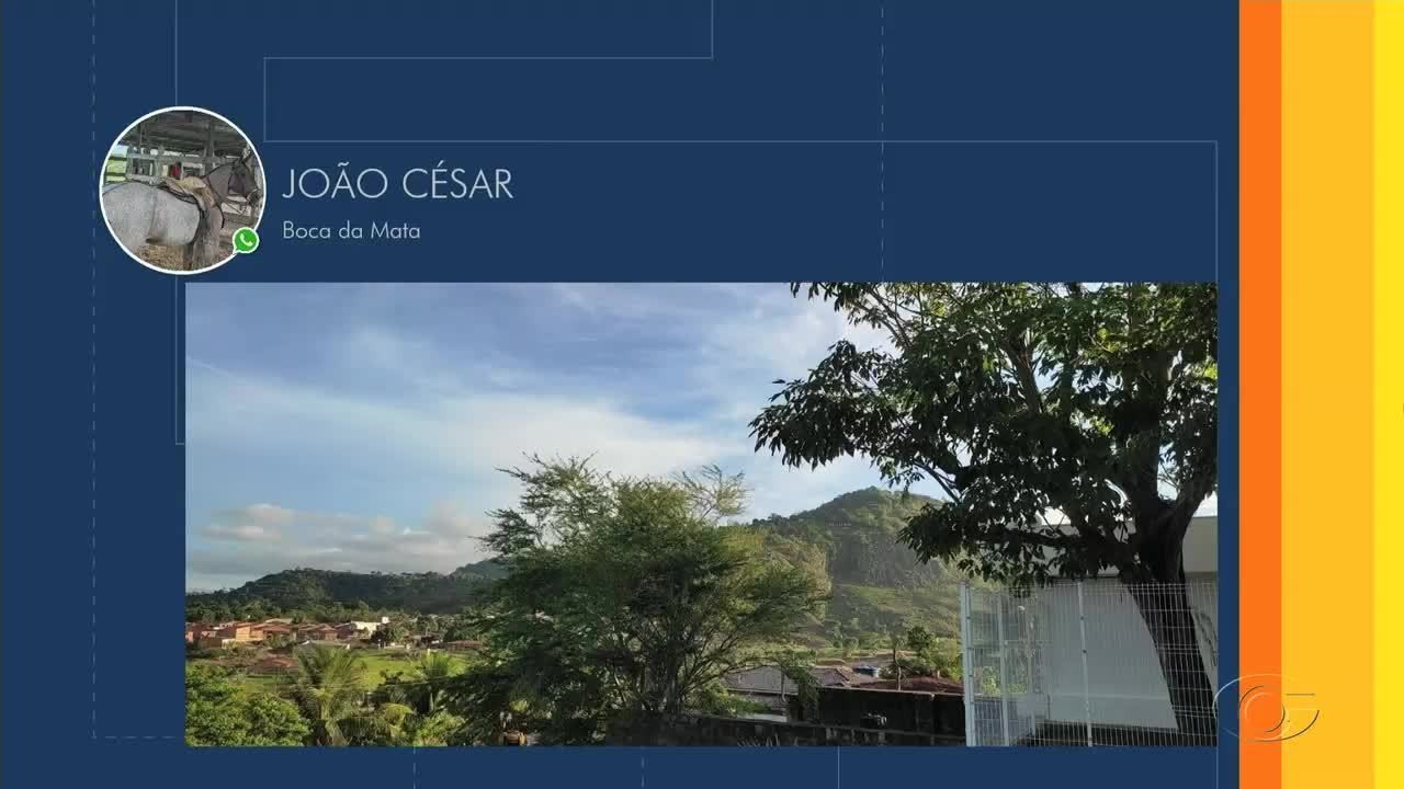 VÍDEOS: Bom Dia Alagoas de quarta-feira, 21 de fevereiro