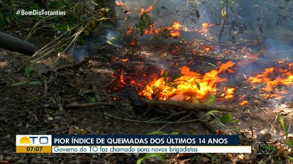 Tocantins tem o pior índice de queimadas dos últimos 14 anos