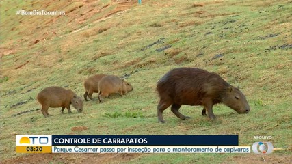 Parque Cesamar passa por inspeção para controle de carrapatos em capivaras