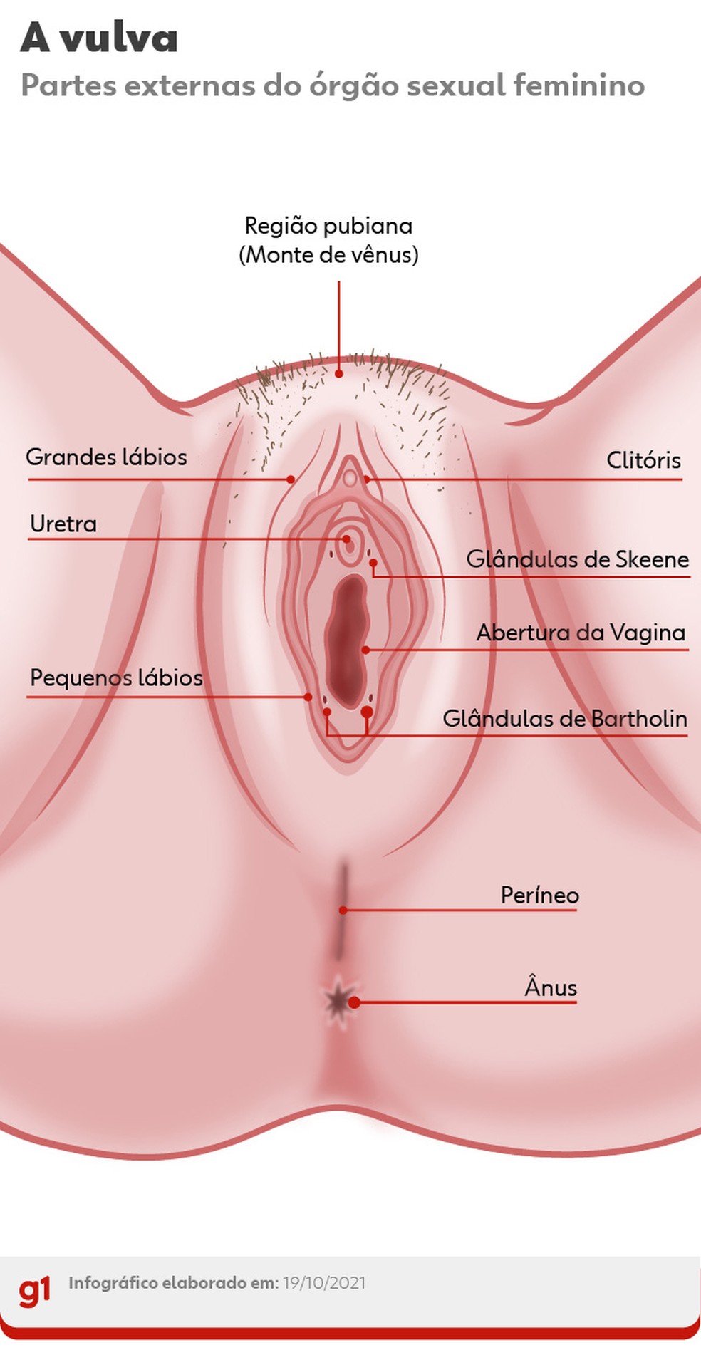 Ejaculação feminina