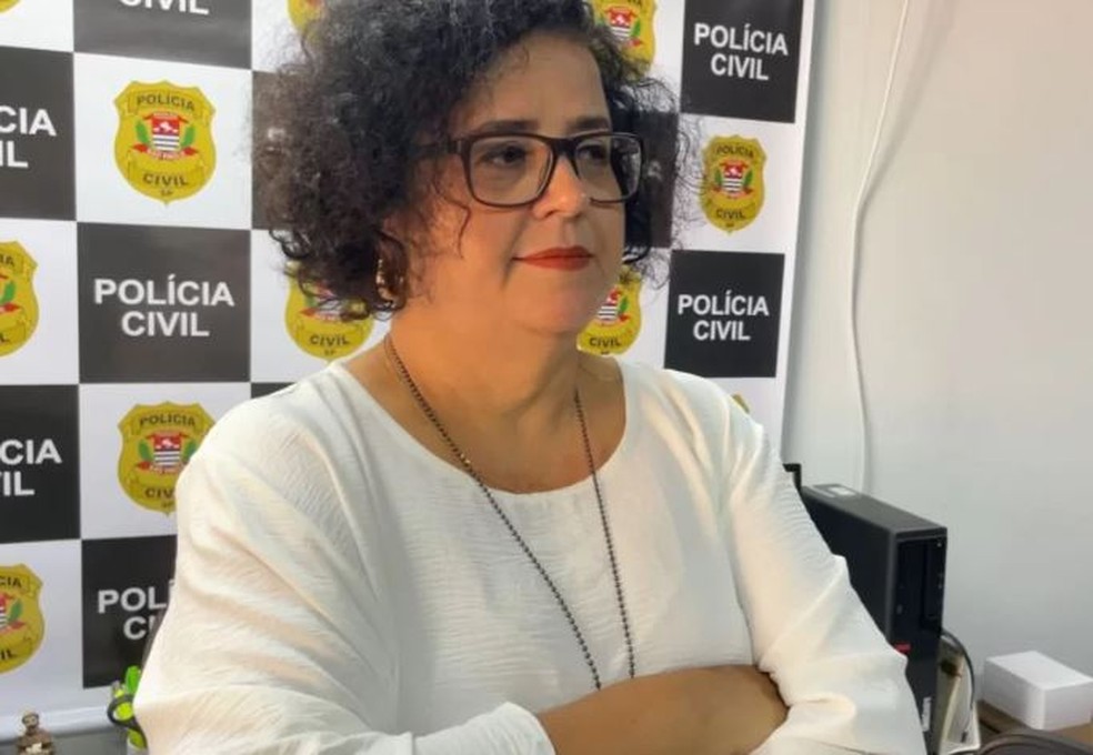 A delegada Meirelene de Castro Rodrigues, da Delegacia de Defesa da Mulher de Araraquara — Foto: Milton Filho/ acidade on