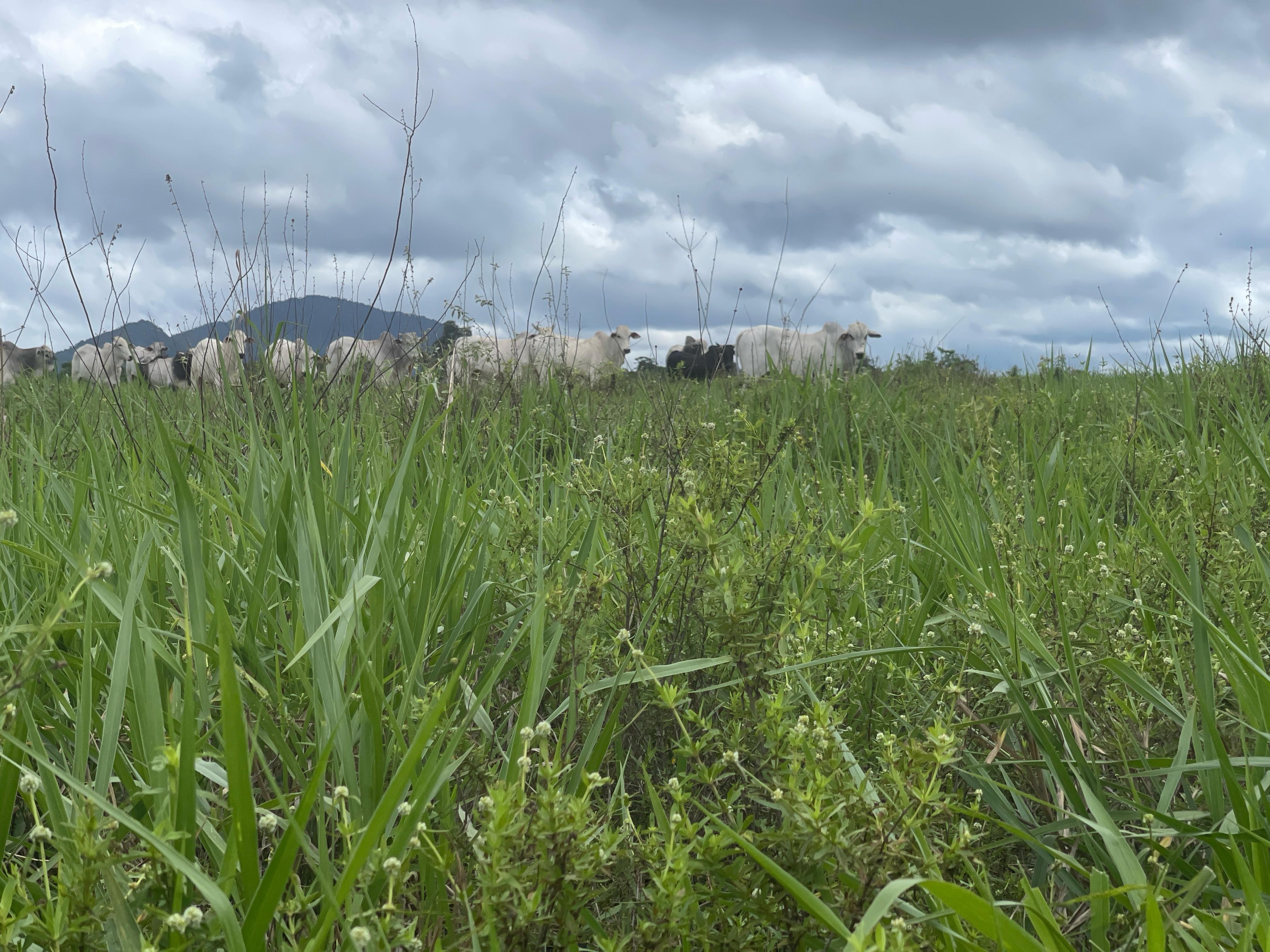 Você Não Tá Convidada pro Meu Bat Mitzvá!