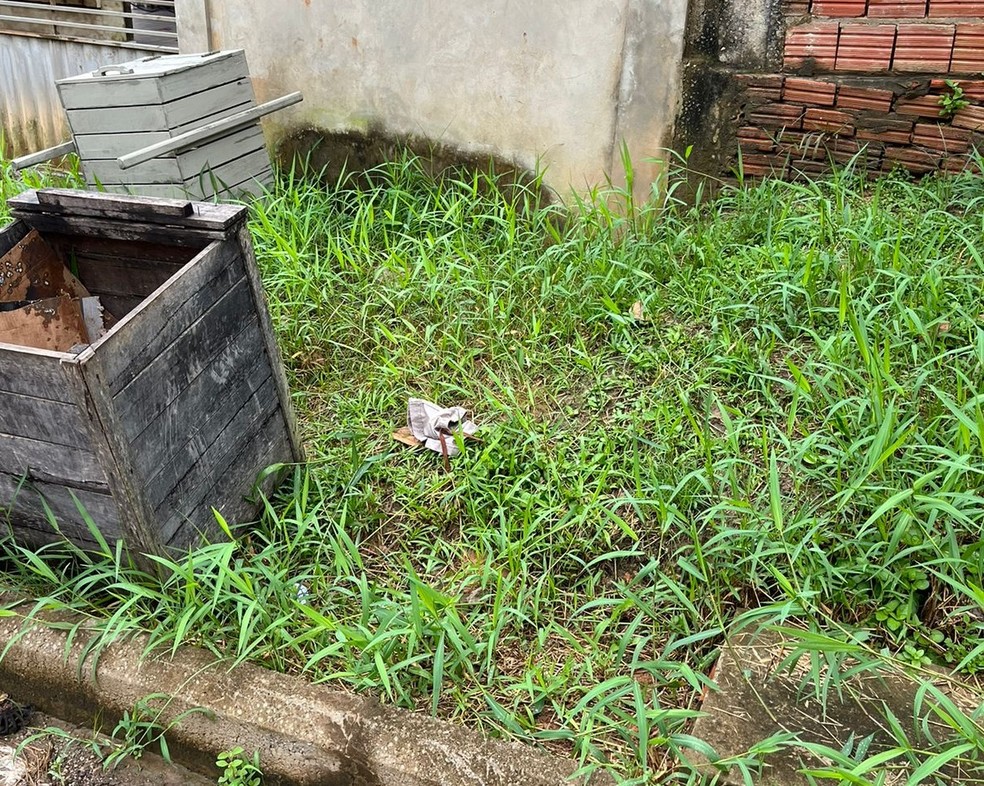 Bebê foi abandonado ao lado de lixo no interior do Acre — Foto: Arquivo/Conselho Tutelar