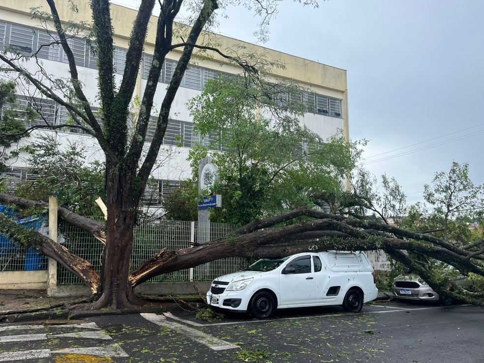 Chuva com ventos fortes e granizo provoca alagamentos e quedas de árvores em Botucatu — Foto: Adriano Baracho/TV TEM