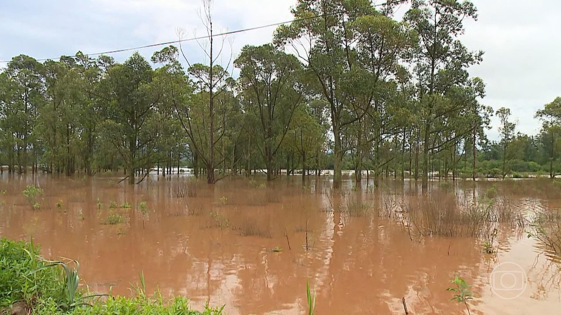 Seis cidades do RS decretam emergência por causa da chuva