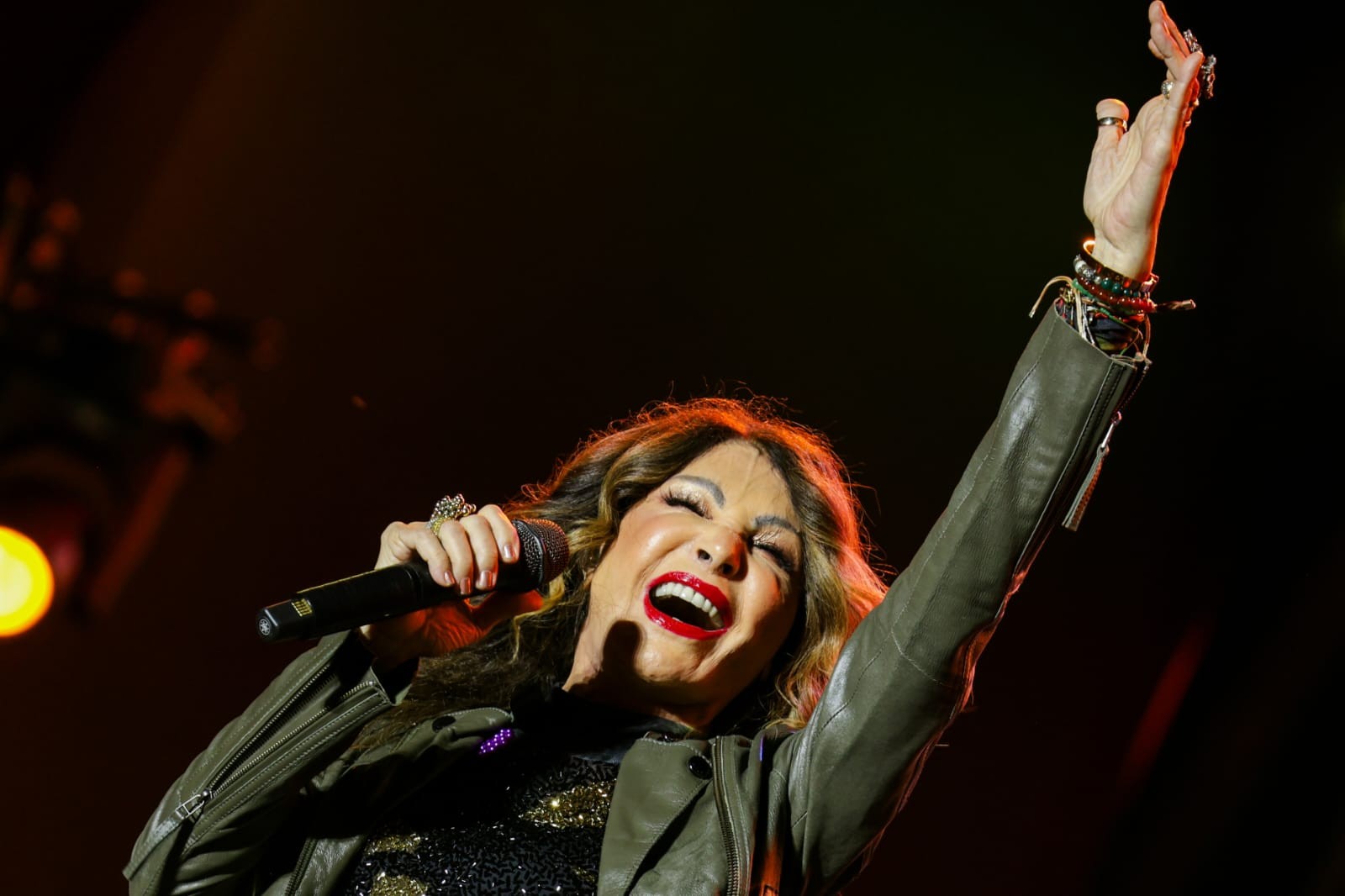 Assembleia Legislativa aprova projeto para tornar álbum 'Ave de Prata', de Elba Ramalho, patrimônio histórico e cultural da Paraíba