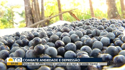 Pesquisa da UFPA aponta que açaí pode auxiliar no combate à depressão; entenda
