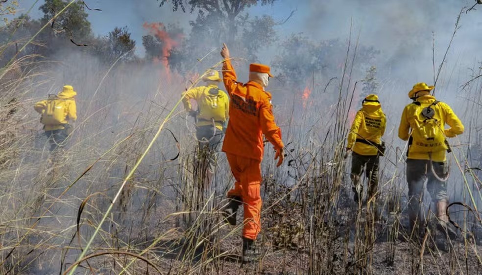 Bombeiros militares e brigadistas combatem incêndio florestais — Foto: Luiz Henrique Machado/Governo do Tocantins
