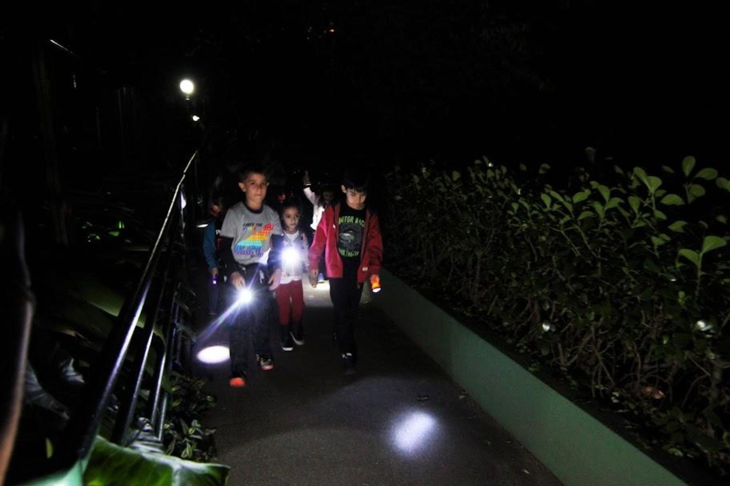 Orquidário de Santos oferece visitas noturnas e recreação para crianças; veja programação 