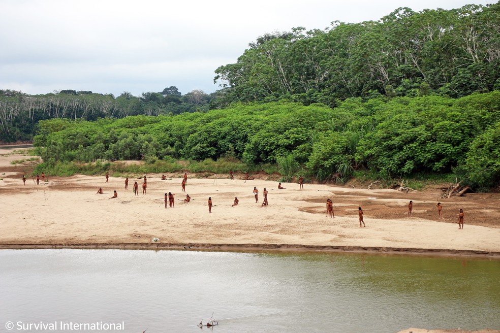Imagens mostram indígenas isolados do povo Mashco Piro, próximos ao Rio Las Piedras, na Amazônia Peruana — Foto: Arquivo/Survival International
