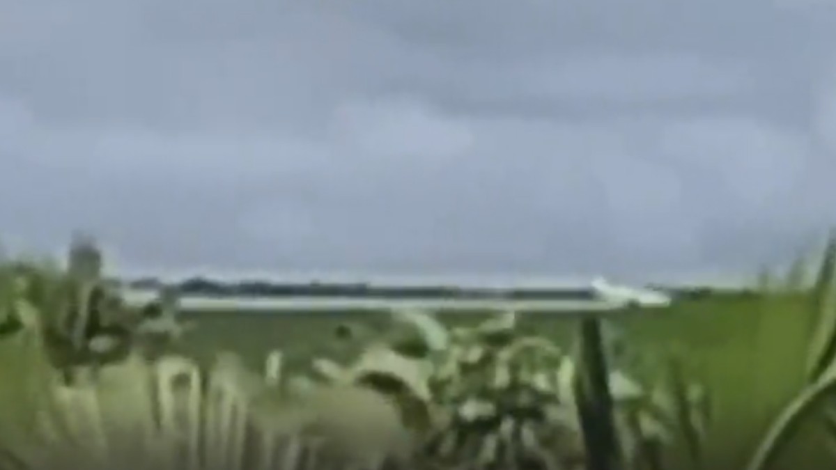 Moradores do quilombo no MA denunciam que agrotóxicos lançados por aeronave sobre casas 