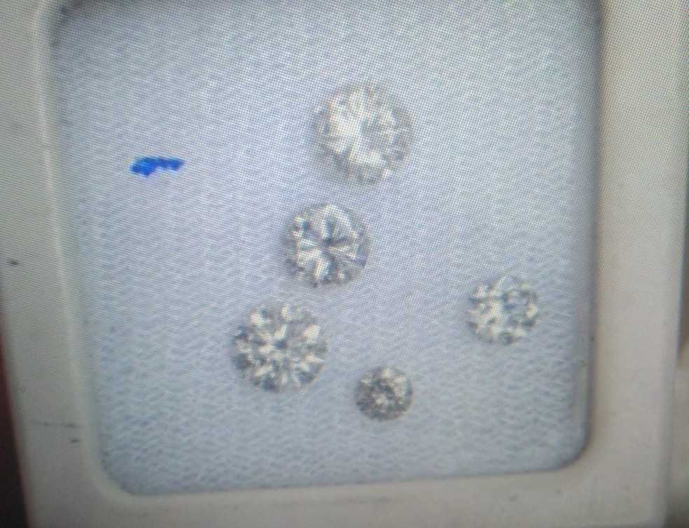 Parte dos diamantes recuperados pela Polícia Civil em Natal — Foto: Cedida
