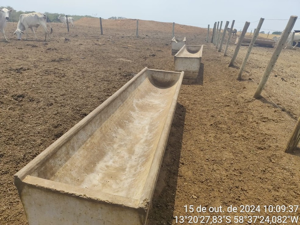 Os cochos foram encontrados vazios na propriedade. — Foto: Polícia Militar de Mato Grosso