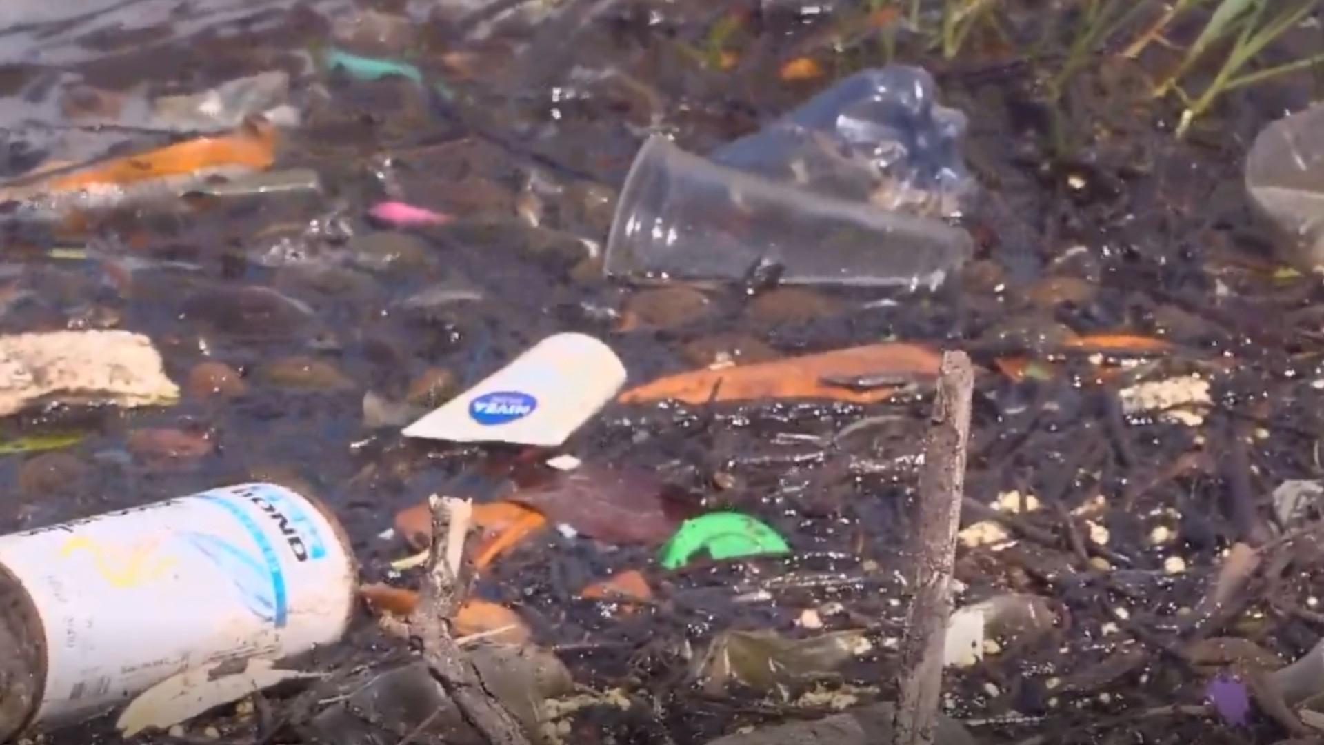 Microplásticos contaminam peixes na Lagoa da Jansen, aponta pesquisa da UFMA