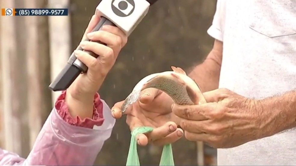 Rua alagada após forte chuva em Fortaleza vira ponto de pesca — Foto: TV Verdes Mares/Reprodução