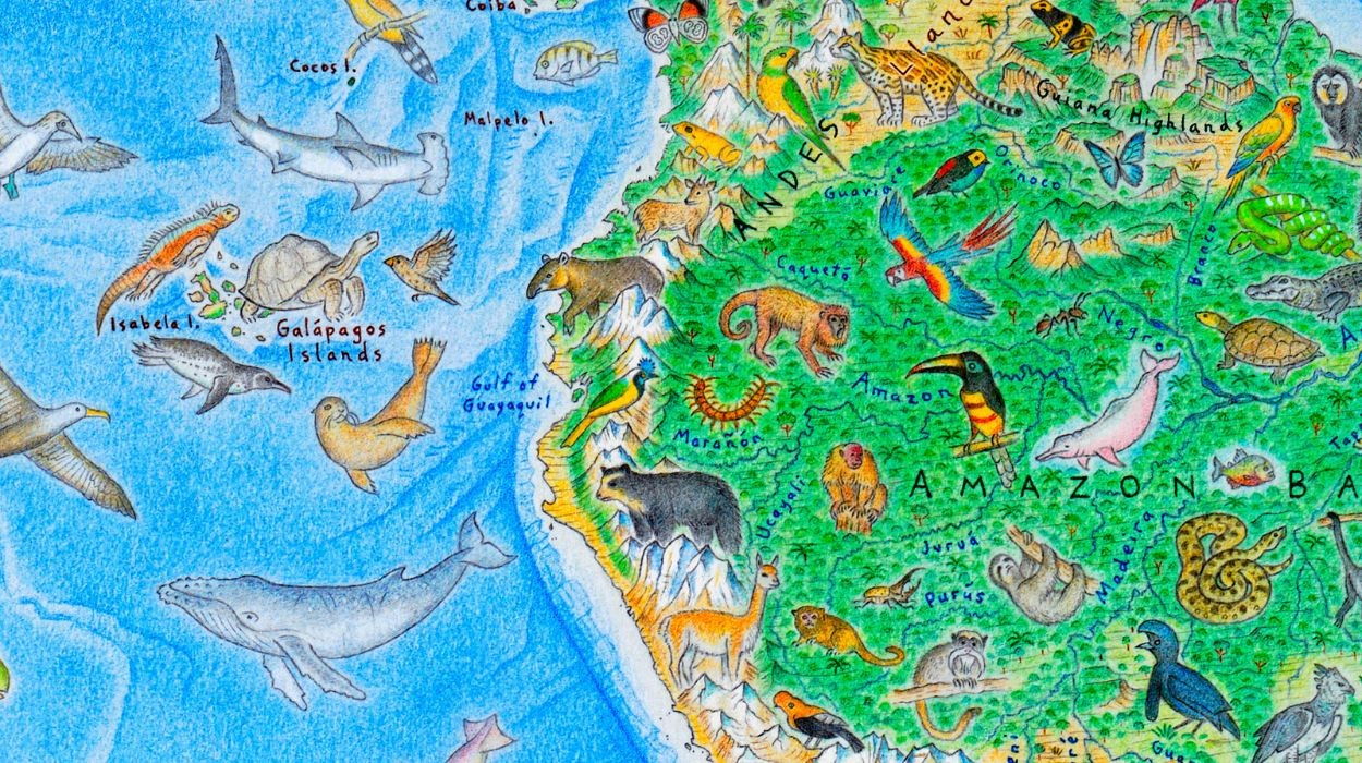 Artista desenha à mão mapa do mundo com 1.642 animais e se surpreende com o Brasil