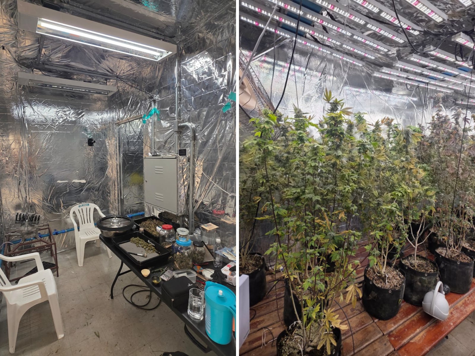Polícia apreende 14kg de maconha 'Colômbia' e 17 tijolos de derivados 'dry' e 'ice' no interior de SP