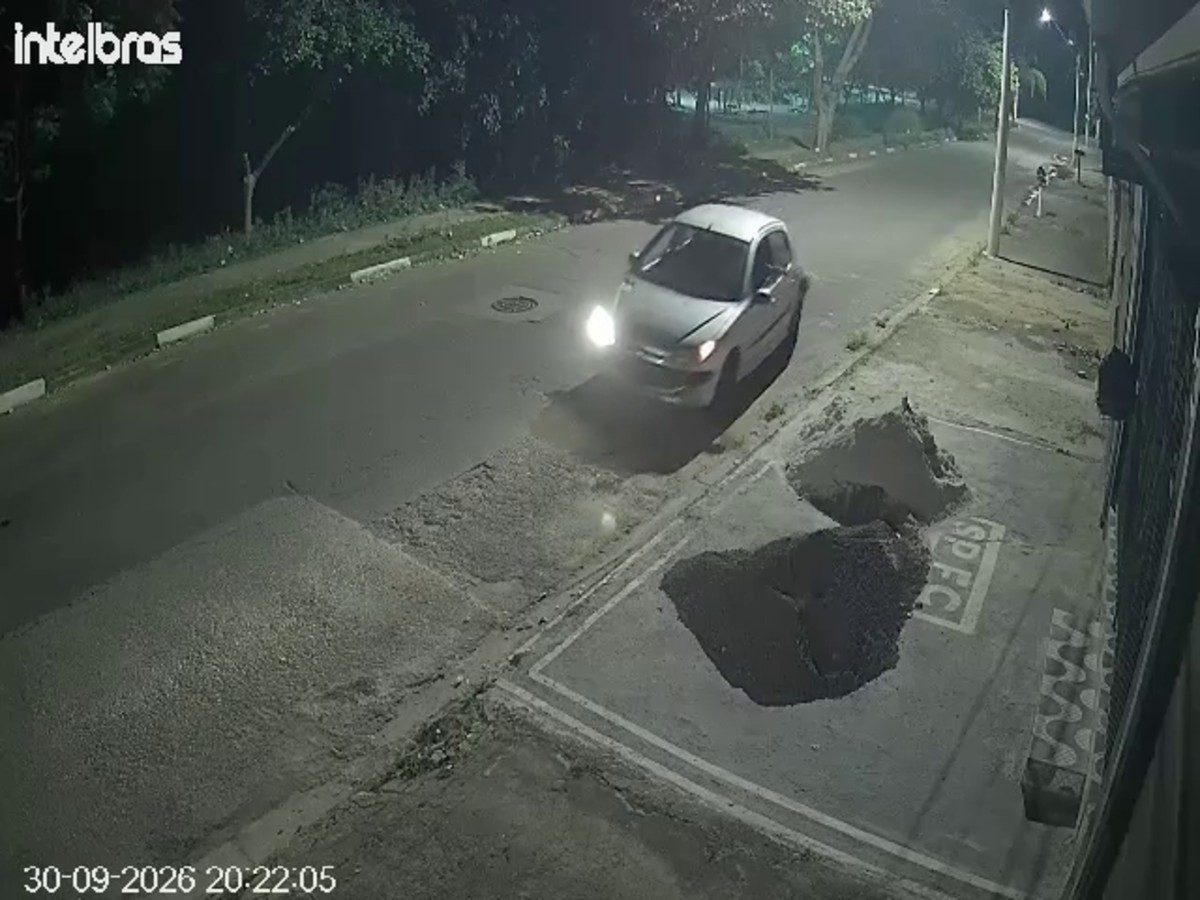 Gato morre após ser jogado pela janela de carro no interior de SP; VÍDEO
