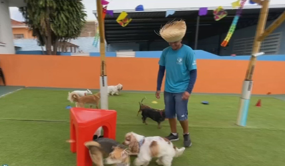 Arraial Pet: comida típica, trajes caipiras e barraca do 'lambeijo' fazem a alegria dos animais no interior de SP