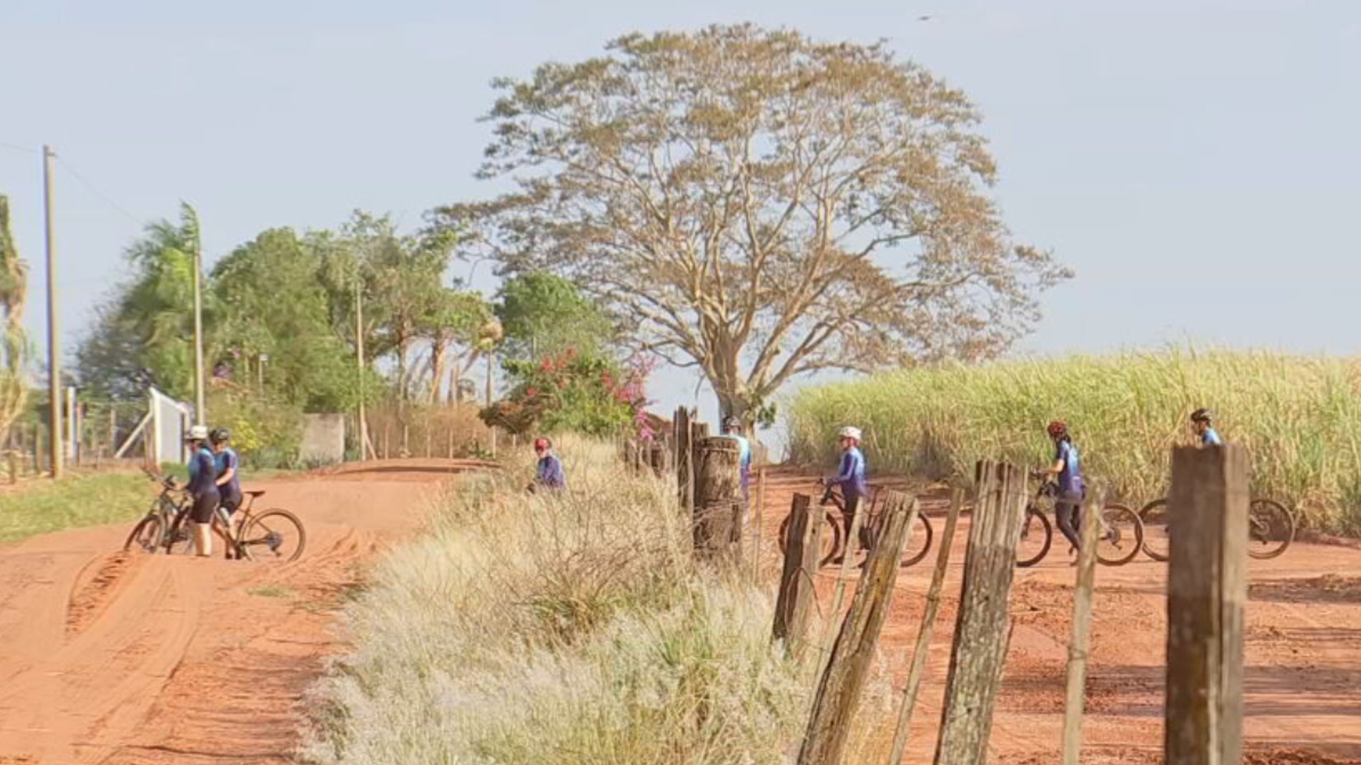 Rota de cicloturismo atrai visitantes e movimenta economia em cidades do noroeste paulista