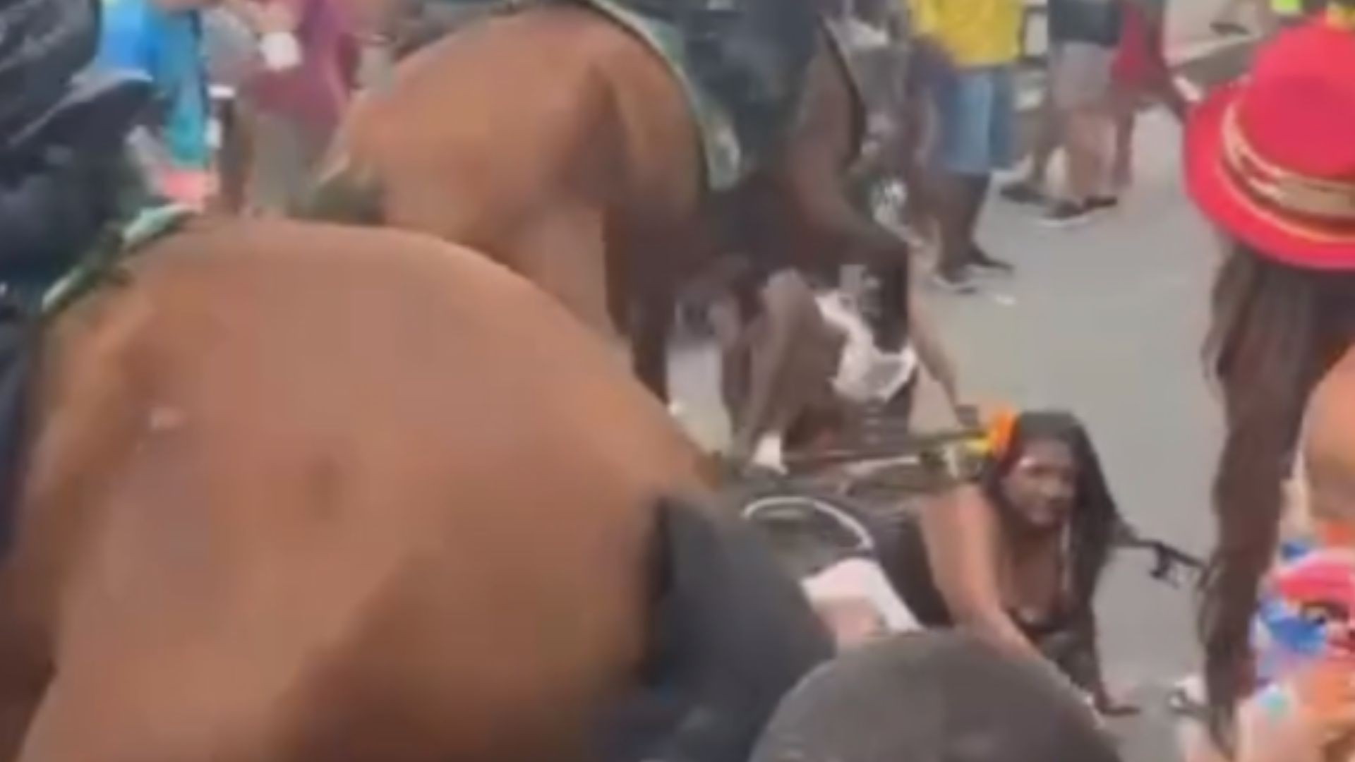 Cavalo da Polícia Militar se assusta no carnaval do Recife e cai sobre foliões; VÍDEO