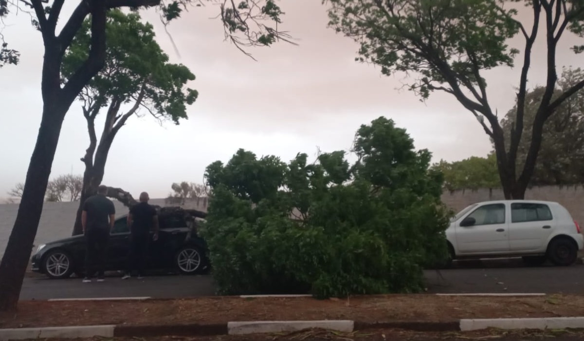 Tempestade de poeira e ventos fortes atingem Presidente Prudente