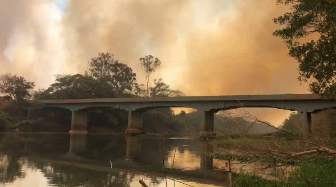 Fogo ameaça casas, motoristas e animais, e mobiliza força-tarefa entre Serrana e Altinópolis, SP