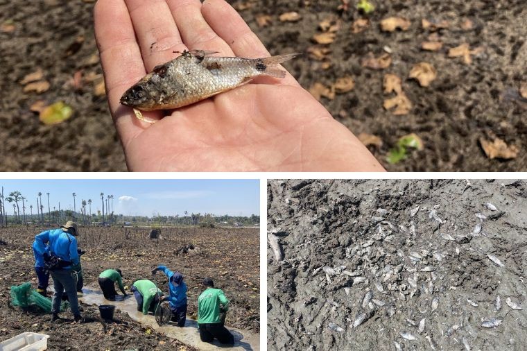 Relatório aponta risco estrutural e ambiental em usina de Colíder (MT) após falhas em barragem